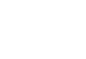 271 Collective