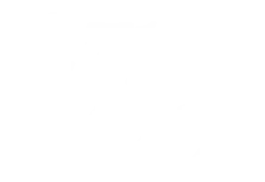 271 Collective